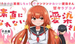 奸染 动漫,暗影中的校园秘闻