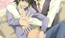 耽美动漫网,探索耽美文化的魅力世界