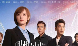 职场 电视剧,职场剧中的职场智慧与人生百态